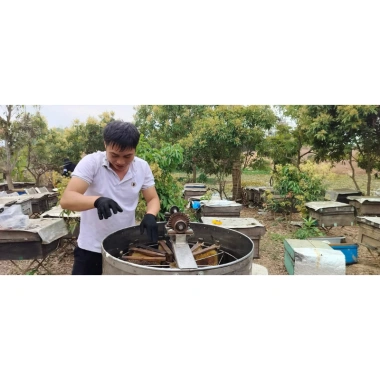 Mật Ong Rừng Đa Hoa 5L - Combo 1 L Tặng, Chuẩn 100%, Giá Sỉ 439k 7