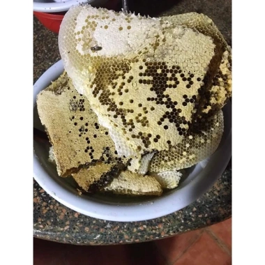 Mật Ong Rừng Nguyên Chất 1 Lít – Nguyên Sáp Tự Nhiên, Tăng Cường Miễn Dịch, Giảm Giá Đặc Biệt 5 Mật Ong Rừng Nguyên Chất 1 Lít – Nguyên Sáp Tự Nhiên, Tăng Cường Miễn Dịch, Giảm Giá Đặc Biệt 5