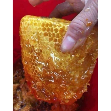Mật Ong Rừng Nguyên Tảng 1kg - Ong Ruồi Núi Hiếm Giá Ưu Đãi 785.000 VNĐ
