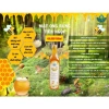 Mật Ong Rừng QNA FARM Nguyên Chất Núi Tiên Phước Quảng Nam - 100% Tự Nhiên, Giá Ưu Đãi 415.000 2