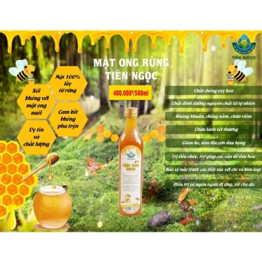 Mật Ong Rừng QNA FARM Nguyên Chất Núi Tiên Phước Quảng Nam - 100% Tự Nhiên, Giá Ưu Đãi 415.000