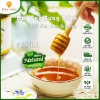 Mật Ong Rừng Tràm Trà Sư An Giang Nguyên Chất 1L (2x500ml) Giá ưu đãi 365.000đ 4