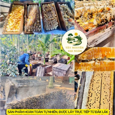 Mật ong trắng 1L nguyên chất 100% - Cam kết chính hãng Tây Nguyên Đại Ngàn, giảm 20% 6