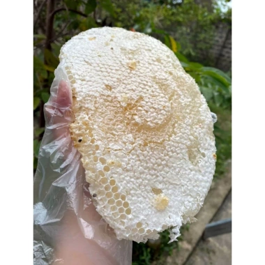 Mật Ong Trắng Mù Cang Chải 1L Tinh Túy Thiên Nhiên Tây Bắc Giá Ưu Đãi 299.000