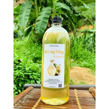 Mật Ong Trắng Mù Cang Chải 1L Tinh Túy Thiên Nhiên Tây Bắc Giá Ưu Đãi 299.000 6 Mật Ong Trắng Mù Cang Chải 1L Tinh Túy Thiên Nhiên Tây Bắc Giá Ưu Đãi 299.000 6