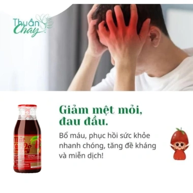 Mật Táo Đỏ Bổ Máu Thuần Chay - Lưu Thông Máu, Giảm Đau Đầu, Da Hồng Hào 178k