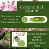 Matcha Mujyõ 500g Ceremonial Nhật - Bột Trà Xanh Vụ Xuân Nguyên Chất 100% Giá ưu đãi 172.000 VND 3