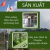 Matcha Mujyõ 500g Ceremonial Nhật - Bột Trà Xanh Vụ Xuân Nguyên Chất 100% Giá ưu đãi 172.000 VND 5
