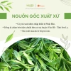 Matcha Premium Satoen 100g Bột Trà Matcha Vụ Xuân Giá ưu đãi 159k 2