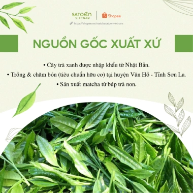 Matcha Premium Satoen 100g Bột Trà Matcha Vụ Xuân Giá ưu đãi 159k