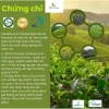 Matcha Uji Nhật Bản giá ưu đãi 212.850₫ tại Hà Nội - MATCHA UJI YANO 7