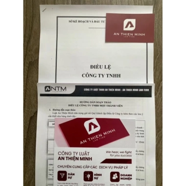 Mẫu Điều lệ Công ty TNHH một thành viên chuẩn pháp lý + hướng dẫn soạn thảo - Giá 50.000₫