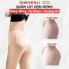 Mẫu Mới 2.026 Quần Lót Độn Mông Thoáng Khí AMYBRA N8.562 - Nâng Mông Tự Nhiên Giá 180.000₫ 7
