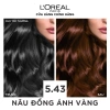 Màu nhuộm dưỡng tóc phủ bạc gấp 3 L'Oreal Excellence Crème 172ml - Bảo vệ, 195k 21