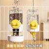 Máy ăn nước tự động không ướt, rải bi lăn cho mèo Corgi và thỏ - treo lồng, tháo rời 2