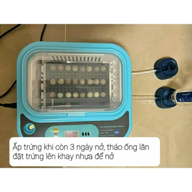 Máy ấp trứng 18 quả Gà Rutin xoay 360 độ, đa dạng kích thước, giảm giá 23% 4
