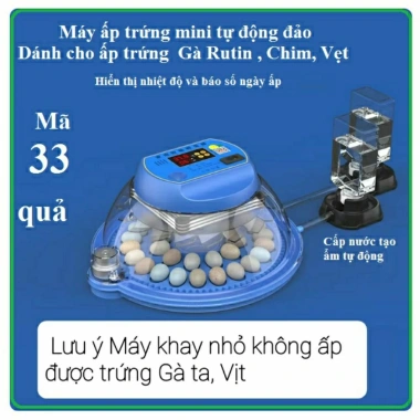 Máy ấp trứng 18 quả Gà Rutin xoay 360 độ, đa dạng kích thước, giảm giá 23% 5
