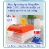 Máy ấp trứng 18 quả Gà Rutin xoay 360 độ, đa dạng kích thước, giảm giá 23% 6