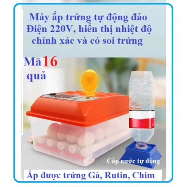 Máy ấp trứng 18 quả Gà Rutin xoay 360 độ, đa dạng kích thước, giảm giá 23% 6