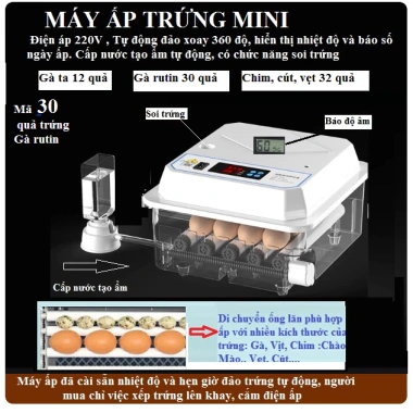 Máy ấp trứng 18 quả Gà Rutin xoay 360 độ, đa dạng kích thước, giảm giá 23% 7