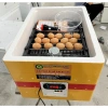 Máy ấp trứng 35 trứng kèm thùng xốp tự lắp - Giá chỉ 549.000đ 5