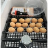 Máy Ấp Trứng 35 Trứng - Xốp, ALu Viền Nhôm, Cacbon, Ấp Gà Vịt Ngan Ngỗng - 730.000₫ 4