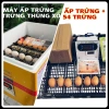 Máy ấp trứng 54 trứng tự lắp thùng xốp, bộ máy & khay đảo tự động, chạy nhiệt dây cacbon - Giá ưu đãi 579.000₫ 2