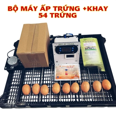 Máy ấp trứng 54 trứng tự lắp thùng xốp, bộ máy & khay đảo tự động, chạy nhiệt dây cacbon - Giá ưu đãi 579.000₫ 4 Máy ấp trứng 54 trứng tự lắp thùng xốp, bộ máy & khay đảo tự động, chạy nhiệt dây cacbon - Giá ưu đãi 579.000₫ 4