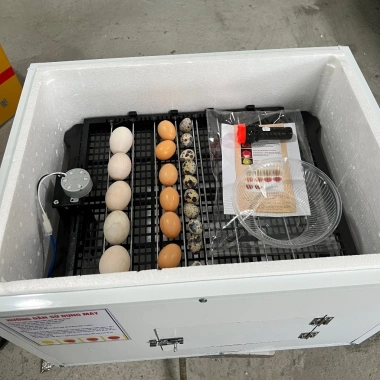 Máy Ấp Trứng 54 Trứng Xốp và Alu Viền Nhôm, Dây Cacbon, Ấp Gà Vịt Ngan Ngỗng 830k