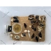 Máy ấp trứng Đất Quảng gắn thùng xốp, tạo nhiệt dây carbon – Nhiệt độ chuẩn, BH 1 năm, chỉ 269.000₫ 4