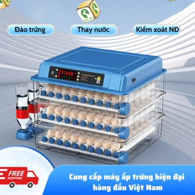 Máy ấp trứng gà mini tự động Dương Ninh thế hệ mới 220/12V A1.234 – Thông minh, hiện đại, giá ưu đãi 1,267,200₫