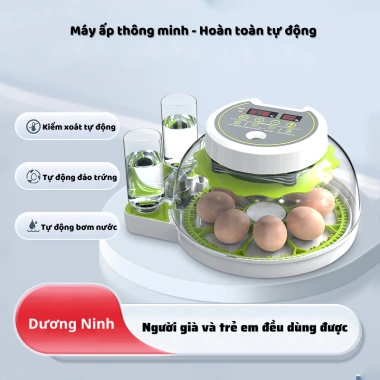 Máy ấp trứng gà mini tự động Dương Ninh thế hệ mới 220/12V A1.234 – Thông minh, hiện đại, giá ưu đãi 1,267,200₫ 7 Máy ấp trứng gà mini tự động Dương Ninh thế hệ mới 220/12V A1.234 – Thông minh, hiện đại, giá ưu đãi 1,267,200₫ 7