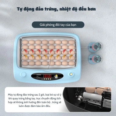 Máy ấp trứng gà mini tự động Dương Ninh thế hệ mới 220/12V A1.234 – Thông minh, hiện đại, giá ưu đãi 1,267,200₫