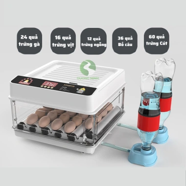 Máy ấp trứng gà mini tự động Dương Ninh thế hệ mới 220/12V A1.234 – Thông minh, hiện đại, giá ưu đãi 1,267,200₫