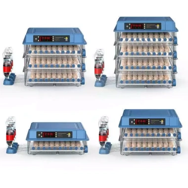 Máy ấp trứng gà tự động mini Dương Ninh MA08 Thông minh, giá 1,350,000₫ 8 Máy ấp trứng gà tự động mini Dương Ninh MA08 Thông minh, giá 1,350,000₫ 8