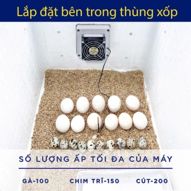 Máy ấp trứng gia cầm Gia Phú - Đảo trứng tay, lắp thùng xốp 10-100 trứng, giảm còn 210.000 VND