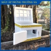 Máy ấp trứng hộ gia đình thùng xốp + đảo tự động 60 trứng - Giá 899.000, khuyến mãi 8