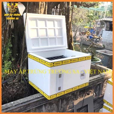 Máy ấp trứng mini 60 trứng thùng xốp + Đảo trứng tự động - Giá 899k, giao nhanh