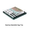 Máy ấp trứng mini gà MA09 - Tự động thông minh, điều chỉnh nhiệt độ, 1.282.500₫ 2