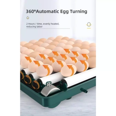 Máy ấp trứng mini gà MA09 - Tự động thông minh, điều chỉnh nhiệt độ, 1.282.500₫