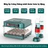 Máy ấp trứng mini gà MA09 - Tự động thông minh, điều chỉnh nhiệt độ, 1.282.500₫ 9