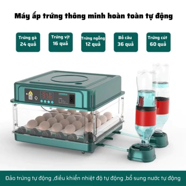 Máy ấp trứng mini gà MA09 - Tự động thông minh, điều chỉnh nhiệt độ, 1.282.500₫