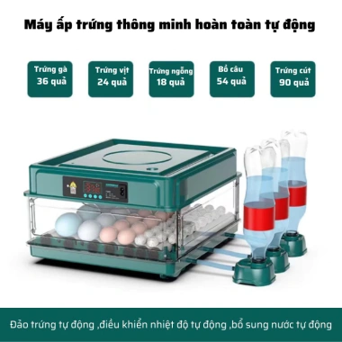 Máy ấp trứng mini gà MA09 - Tự động thông minh, điều chỉnh nhiệt độ, 1.282.500₫