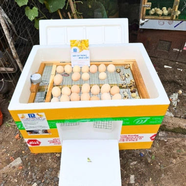 Máy Ấp Trứng Phi Lộc Thùng Xốp 50 Trứng Đảo Tự Động - Nâng Cao, Nở Trên 95% - 959.000đ