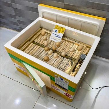 Máy Ấp Trứng Phi Lộc Thùng Xốp 50 Trứng Đảo Tự Động - Nâng Cao, Nở Trên 95% - 959.000đ
