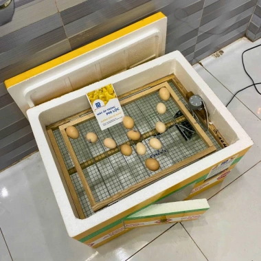 Máy Ấp Trứng Phi Lộc Thùng Xốp 50 Trứng Đảo Tự Động - Nâng Cao, Nở Trên 95% - 959.000đ