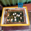 Máy Ấp Trứng Phi Lộc Thùng Xốp 50 Trứng Đảo Tự Động - Nâng Cao, Nở Trên 95% - 959.000đ 8