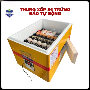 Máy Ấp Trứng Thùng Xốp 54 Trứng Tự Động – Nhiệt Cacbon, Tiết Kiệm Điện, Giá 819.000₫