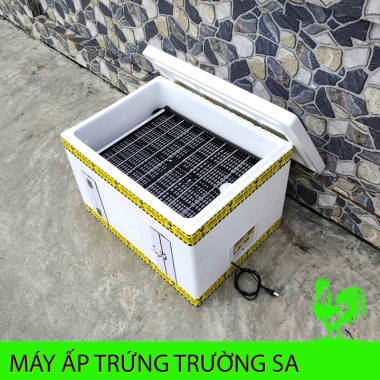 Máy ấp trứng thùng xốp giá rẻ TX60-299 - Đảo tự động, chỉ 799.000đ 7