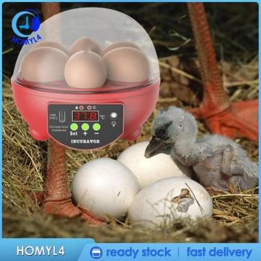 Máy ấp trứng tự động 6 quả - Kỹ thuật số, nhiệt độ ổn định, tiết kiệm năng lượng - 426.600 VND 4